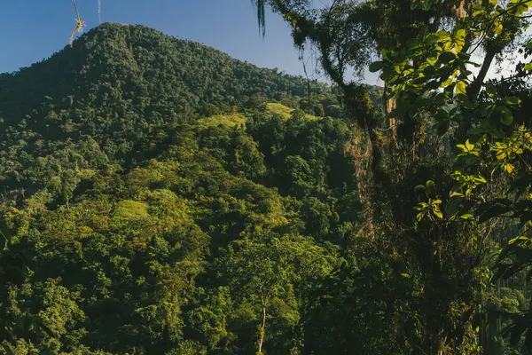 Tayrona Ulusal Parkı 'ndaki Kayıp Şehir' in doğal manzaraları. Santa Marta Magdalena, Kolombiya.