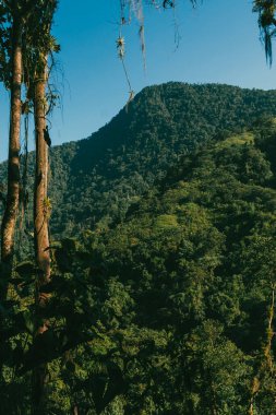Tayrona Ulusal Parkı 'ndaki Kayıp Şehir' in doğal manzaraları. Santa Marta Magdalena, Kolombiya.
