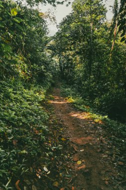 Tayrona Ulusal Parkı 'ndaki Kayıp Şehir' in doğal manzaraları. Santa Marta Magdalena, Kolombiya.