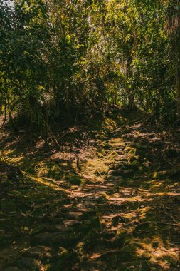 Tayrona Ulusal Parkı 'ndaki Kayıp Şehir' in doğal manzaraları. Santa Marta Magdalena, Kolombiya.