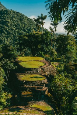 Tayrona Ulusal Parkı 'ndaki Kayıp Şehir' in doğal manzaraları. Santa Marta Magdalena, Kolombiya.