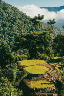 Tayrona Ulusal Parkı 'ndaki Kayıp Şehir' in doğal manzaraları. Santa Marta Magdalena, Kolombiya.