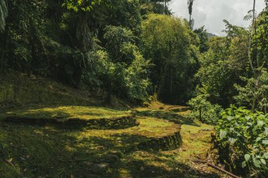 Tayrona Ulusal Parkı 'ndaki Kayıp Şehir' in doğal manzaraları. Santa Marta Magdalena, Kolombiya.