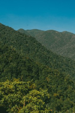 Tayrona Ulusal Parkı 'ndaki Kayıp Şehir' in doğal manzaraları. Santa Marta Magdalena, Kolombiya.