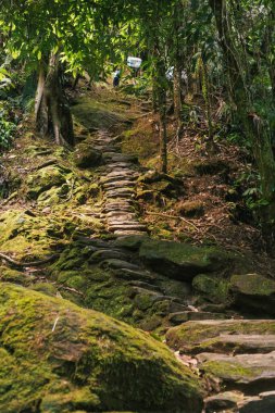 Tayrona Ulusal Parkı 'ndaki Kayıp Şehir' in doğal manzaraları. Santa Marta Magdalena, Kolombiya.
