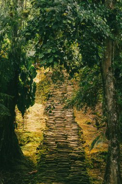 Tayrona Ulusal Parkı 'ndaki Kayıp Şehir' in doğal manzaraları. Santa Marta Magdalena, Kolombiya.