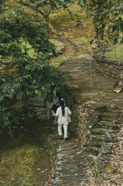 Tayrona Ulusal Parkı 'ndaki Kayıp Şehir' in doğal manzaraları. Santa Marta Magdalena, Kolombiya.
