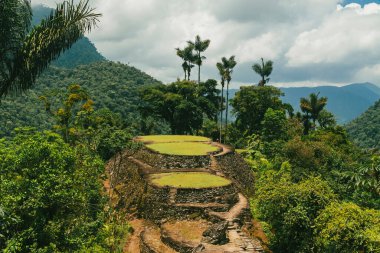 Tayrona Ulusal Parkı 'ndaki Kayıp Şehir' in doğal manzaraları. Santa Marta Magdalena, Kolombiya.