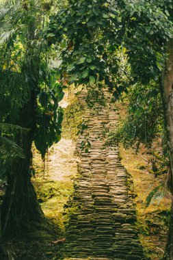 Tayrona Ulusal Parkı 'ndaki Kayıp Şehir' in doğal manzaraları. Santa Marta Magdalena, Kolombiya.