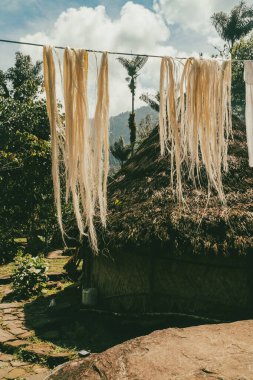 Tayrona Ulusal Parkı 'ndaki Kayıp Şehir' in doğal manzaraları. Santa Marta Magdalena, Kolombiya.