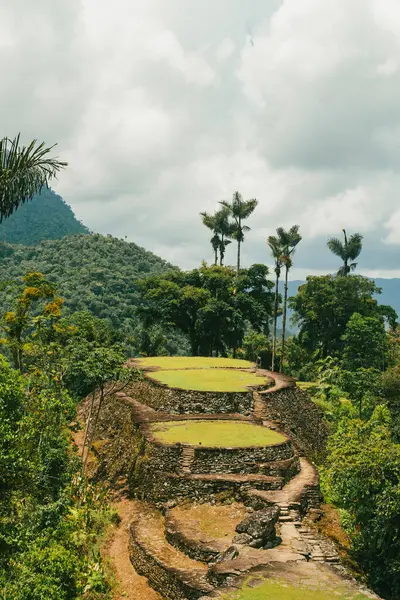 Tayrona Ulusal Parkı 'ndaki Kayıp Şehir' in doğal manzaraları. Santa Marta Magdalena, Kolombiya.