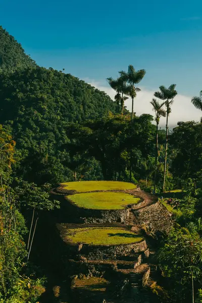 Tayrona Ulusal Parkı 'ndaki Kayıp Şehir' in doğal manzaraları. Santa Marta Magdalena, Kolombiya.