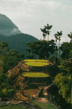 Tayrona Ulusal Parkı 'ndaki Kayıp Şehir' in doğal manzaraları. Santa Marta Magdalena, Kolombiya.