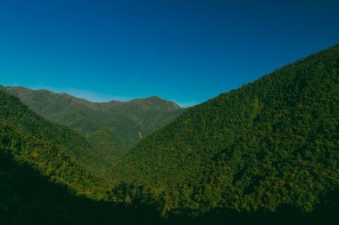 Tayrona Ulusal Parkı 'ndaki Kayıp Şehir' in doğal manzaraları. Santa Marta Magdalena, Kolombiya.