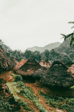 Tayrona Ulusal Parkı 'ndaki Kayıp Şehir' in doğal manzaraları. Santa Marta Magdalena, Kolombiya.