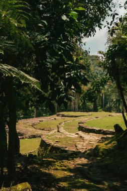Tayrona Ulusal Parkı 'ndaki Kayıp Şehir' in doğal manzaraları. Santa Marta Magdalena, Kolombiya.