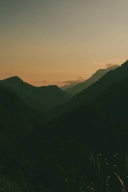 Tayrona Ulusal Parkı 'ndaki Kayıp Şehir' in doğal manzaraları. Santa Marta Magdalena, Kolombiya.