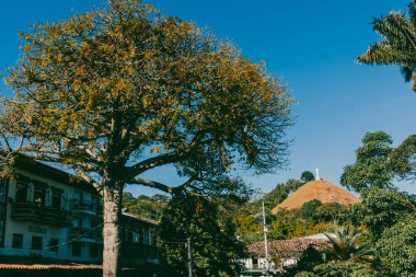 Jerico, Antioquia, Kolombiya. 25 Ocak 2025: Jericho kasabasında renkli ve güzel mimari.