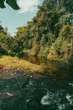 Dağlar manzaralı güzel bir manzara ve taşlarla dolu bir nehir. Jerico, Antioquia, Kolombiya.