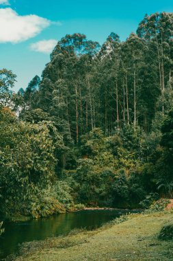 Dağlar manzaralı güzel bir manzara ve taşlarla dolu bir nehir. Jerico, Antioquia, Kolombiya.