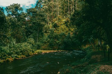 Dağlar manzaralı güzel bir manzara ve taşlarla dolu bir nehir. Jerico, Antioquia, Kolombiya.