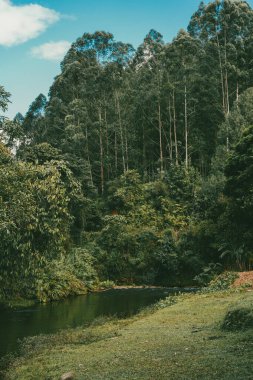 Dağlar manzaralı güzel bir manzara ve taşlarla dolu bir nehir. Jerico, Antioquia, Kolombiya.