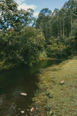 Dağlar manzaralı güzel bir manzara ve taşlarla dolu bir nehir. Jerico, Antioquia, Kolombiya.