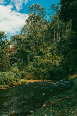 Dağlar manzaralı güzel bir manzara ve taşlarla dolu bir nehir. Jerico, Antioquia, Kolombiya.