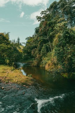 Dağlar manzaralı güzel bir manzara ve taşlarla dolu bir nehir. Jerico, Antioquia, Kolombiya.