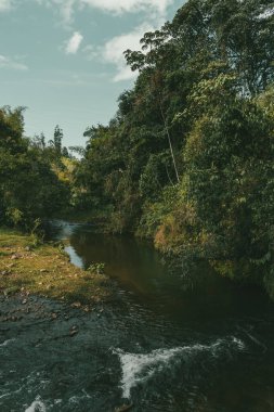Dağlar manzaralı güzel bir manzara ve taşlarla dolu bir nehir. Jerico, Antioquia, Kolombiya.