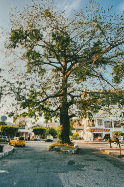 Yopal, Casanare, Kolombiya. 5 Şubat 2025: Diriltme Parkı 'nda heykeller ve portreler. 