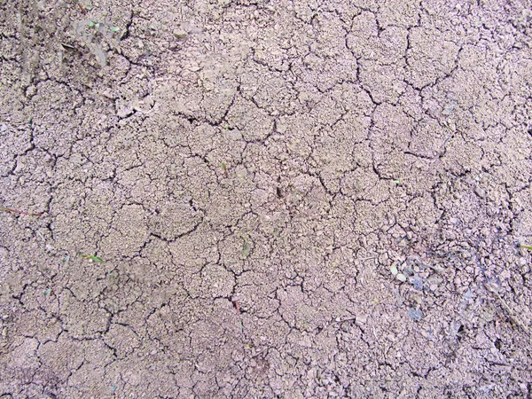 Drought, the ground cracks, no hot water, lack of moisture. cracks in the ground texture
