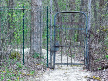 Kahverengi, yeşil ve beyaz çubuklu metal kapılı ve arka planda taşlı ve ağaçlı eski, kirli cam sokak lambalı. Çökme terk edilmiş koyu soluk sepya giriş arkaplanı