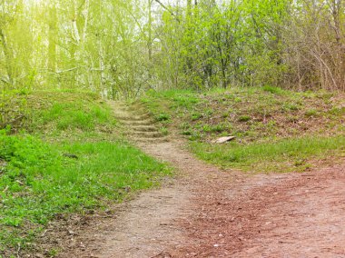 Sonbahar merdiven basamakları gökyüzü. Şaşırtıcı gizemli adımlar mistik dünyaya önderlik eder, peri masalı yolu sarı portakal ağaçlarının arasında gizlenir, büyülü ekim ayı sisli sanat fantazisi doğanın parlak soyut bahçesi
