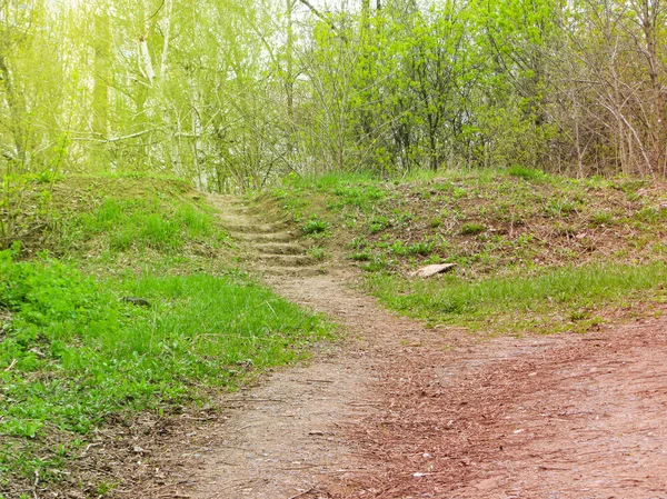 Sonbahar merdiven basamakları gökyüzü. Şaşırtıcı gizemli adımlar mistik dünyaya önderlik eder, peri masalı yolu sarı portakal ağaçlarının arasında gizlenir, büyülü ekim ayı sisli sanat fantazisi doğanın parlak soyut bahçesi