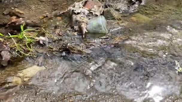 Стеклянная Бутылка Посреди Тонкого Ручья Родниковой Воды Среди Листьев Лесной — стоковое видео
