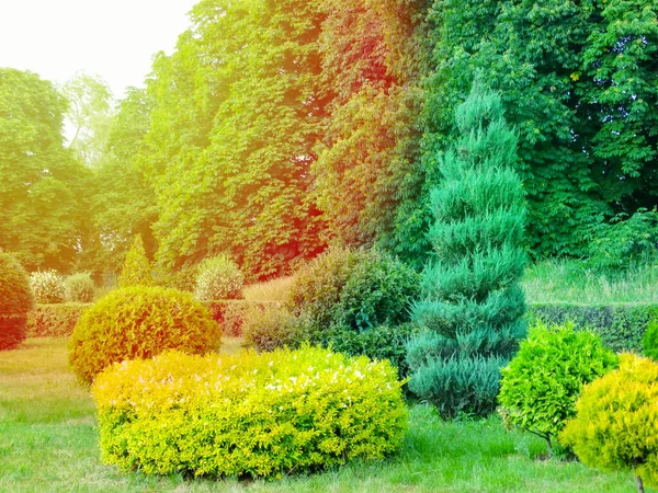 Naturskön Utsikt Över Vacker Engelsk Stil Landskap Trädgård Med Grön — Stockfoto