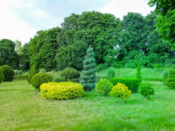 Malowniczy Widok Piękny Ogród Krajobrazowy Stylu Angielskim Zielonym Koszenia Trawnik — Zdjęcie stockowe