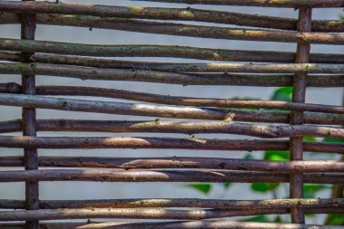 Asmadan çit hasarı, doku, arka plan. Hasır asma çiti. Örülmüş asma dokusu kabartmalı arka plan. Organik dokuma hasır çit.