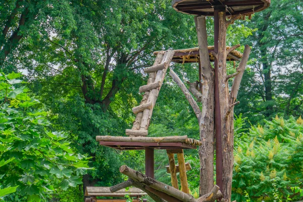 Aire Jeux Bois Pour Animaux Enfants Escaliers Bois Contre Feuillage — Photo