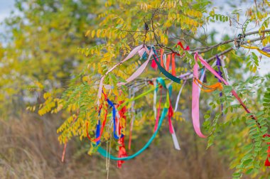 Renkli iplerle süslenmiş ağaç ve güneş ışığındaki mandalların üzerindeki notlar. Gökyüzüne karşı bir ağacın dallarında çok renkli kurdeleler. Köydeki geleneksel dilek ağacı.