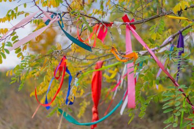Renkli iplerle süslenmiş ağaç ve güneş ışığındaki mandalların üzerindeki notlar. Gökyüzüne karşı bir ağacın dallarında çok renkli kurdeleler. Köydeki geleneksel dilek ağacı.