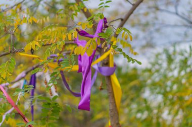Renkli iplerle süslenmiş ağaç ve güneş ışığındaki mandalların üzerindeki notlar. Gökyüzüne karşı bir ağacın dallarında çok renkli kurdeleler. Köydeki geleneksel dilek ağacı.