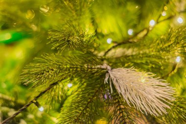 Arkaplanı sarı ışık saçan firavun ağacı dalları. Noel ağacında yeni yıl çelengi. Noel ağacı süslemeleri ve ışıklarının bulanık arkaplanı