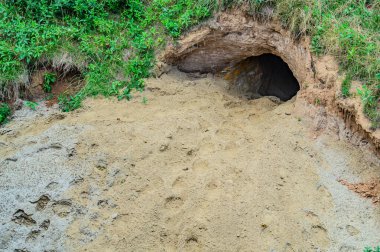 Yerdeki delik mağaranın girişini görebileceğiniz bir delik. Dağdaki bir mağaraya giriş. Dağ mağarası girişi