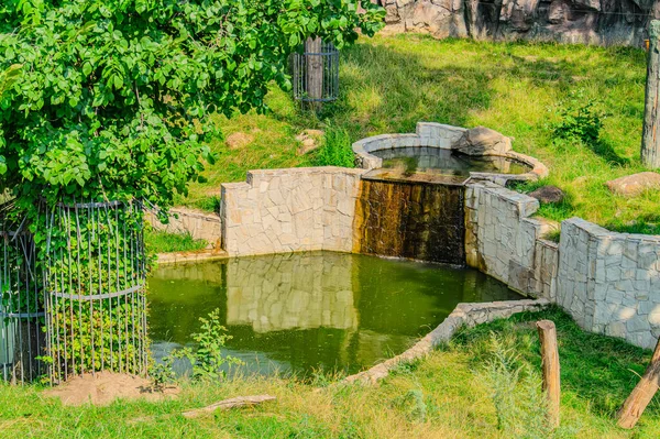 Beautiful small garden pond with a frog-shaped fountain and stone banks. Evergreen spring landscape garden. Selective focus. Nature concept for design. green lake in the garden in the animal Zoo