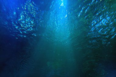 Deniz yüzeyinin altından gökyüzüne bakarak çekilen bir fotoğraf. Işık yaması başımızın üstündeki güneştir ve yüzeyden yağmurun suya sert bir şekilde yağdığını görmek mümkündür.