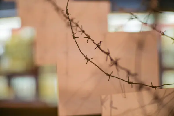 stock image Collages on the theme of Auschwitz concentration camp. barbed wire on the wall. close-up barbed wire