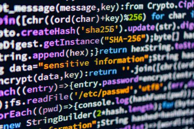 Hassas bir bilgi. SHA-256 ve haşhaş fonksiyonları gibi kriptografik unsurlar içeren değişkenler, koşullar ve fonksiyon çağrılarını içeren JavaScript kodunun yakın plan resmi