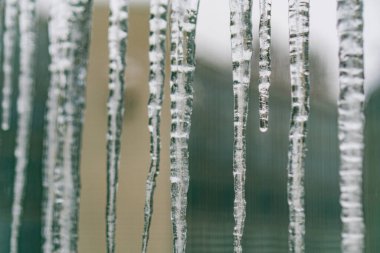 Görünür büyüme katmanlarıyla bir yapıdan sarkan buz saçaklarının yakın çekimi, alanın derinliği keskin bir ön plan oluşturur ve bitki örtüsü ipuçlarının öne sürdüğü bulanık arkaplan kış ayarı